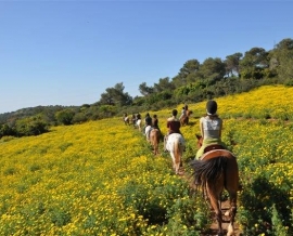 חווית הרוכבים בכרמל