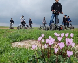 טיולי איזי ריידר יער בן שמן