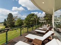 יערות הכרמל