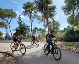 טיול אופניים מודרך ביער להב