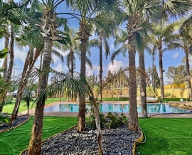 יום כיף במתחם מפנק בשרון עם פעילות גיבוש קבוצתית