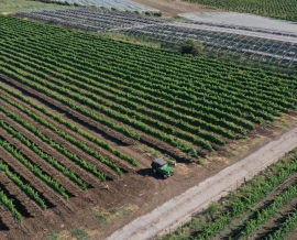 אירוח במרכז המבקרים של יקב תשבי