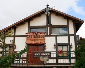 מסעדת קאת בלו - יער הכרמל