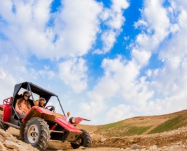 כנען תיירות מדבר